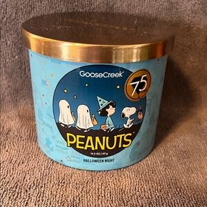 Goose Creek Peanuts Halloween Night Candle